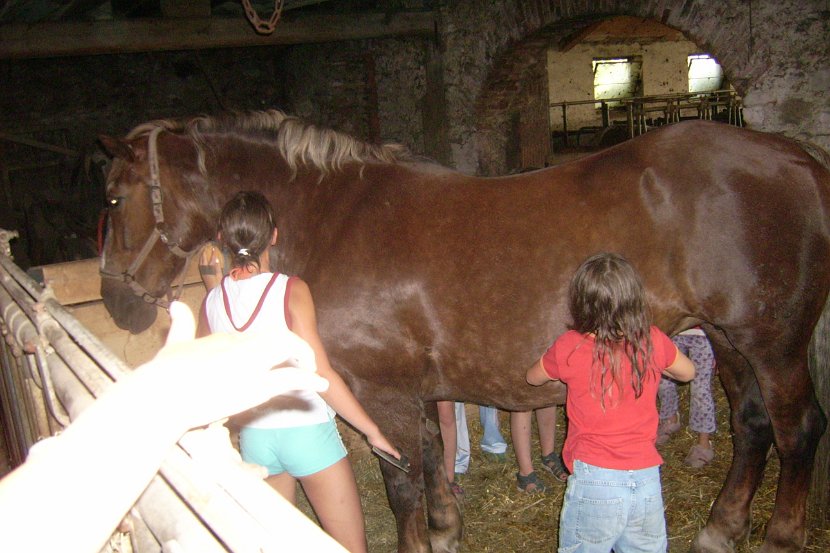 zelten_hoiß_07.2006 008
